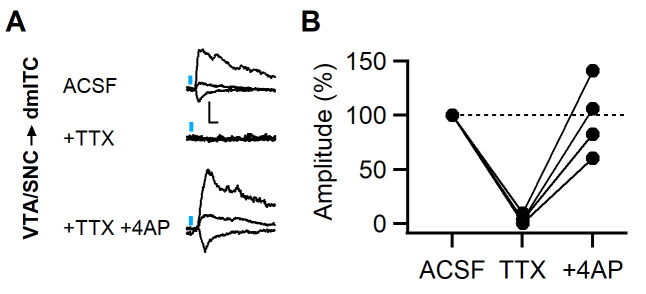 Figure 2—figure supplement 4.