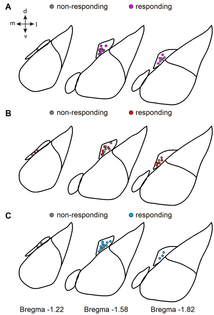 Figure 3—figure supplement 2.