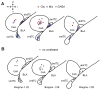 Figure 2—figure supplement 3.