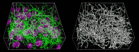 Figure 1—figure supplement 3.