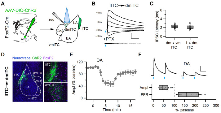 Figure 5—figure supplement 1.