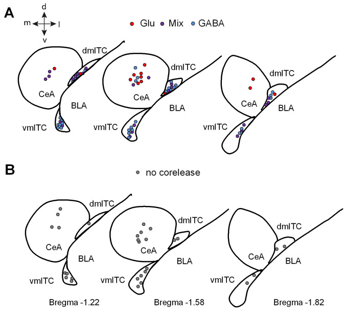 Figure 2—figure supplement 3.