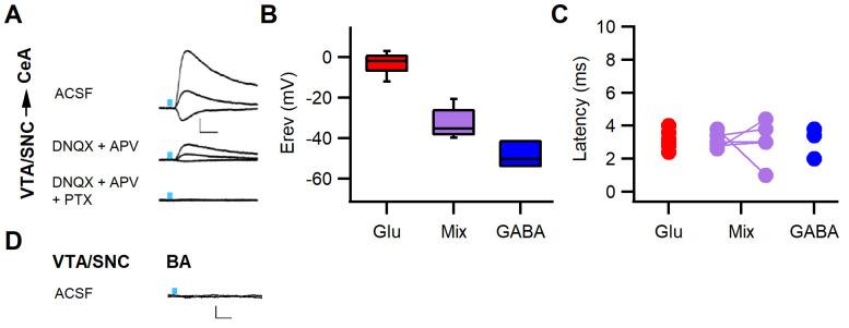 Figure 2—figure supplement 2.