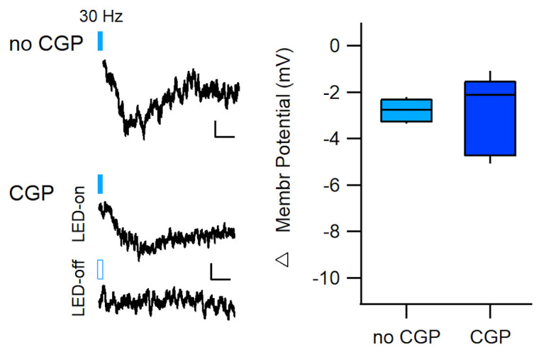 Figure 3—figure supplement 1.