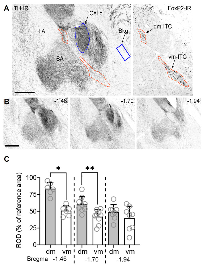 Figure 1—figure supplement 4.