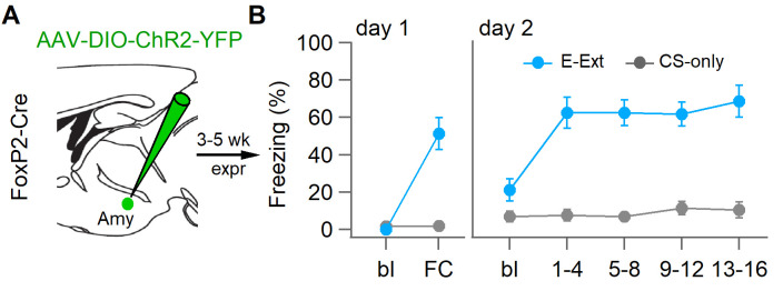 Figure 6—figure supplement 3.