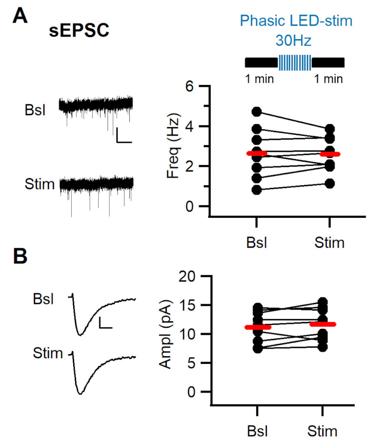 Figure 4—figure supplement 2.