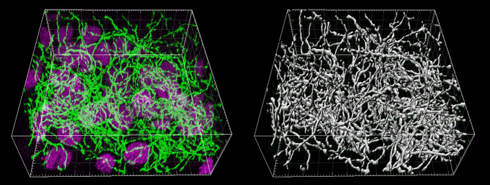 Figure 1—figure supplement 3.