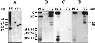 FIG. 1