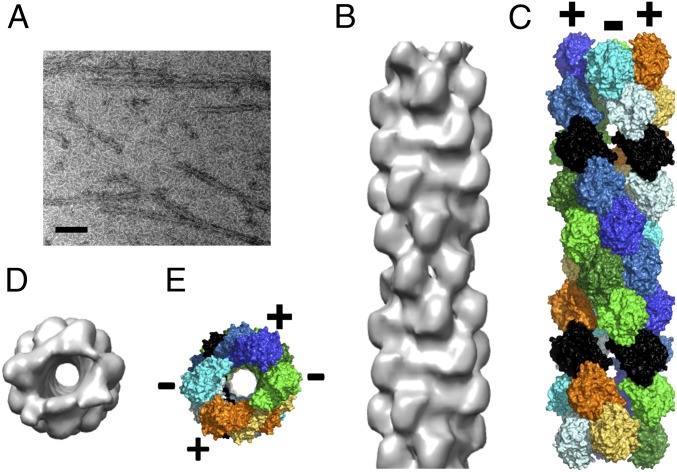 Fig. 3.