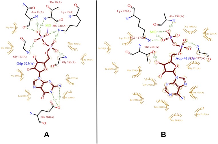 Fig. S11.