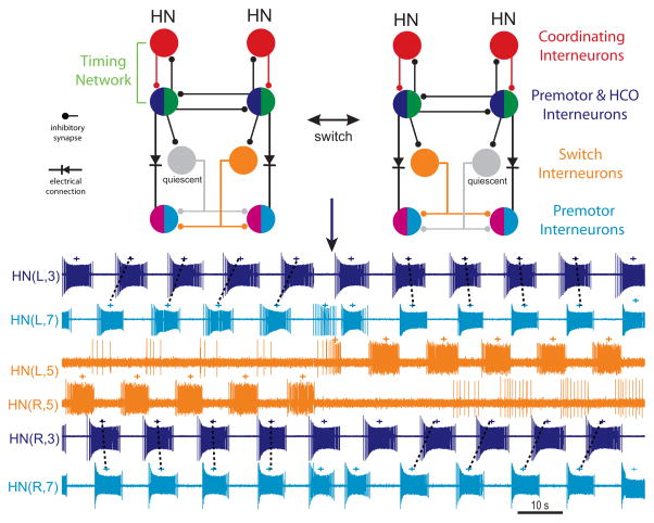 Figure 5