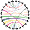 <sc>Fig</sc>. 5.