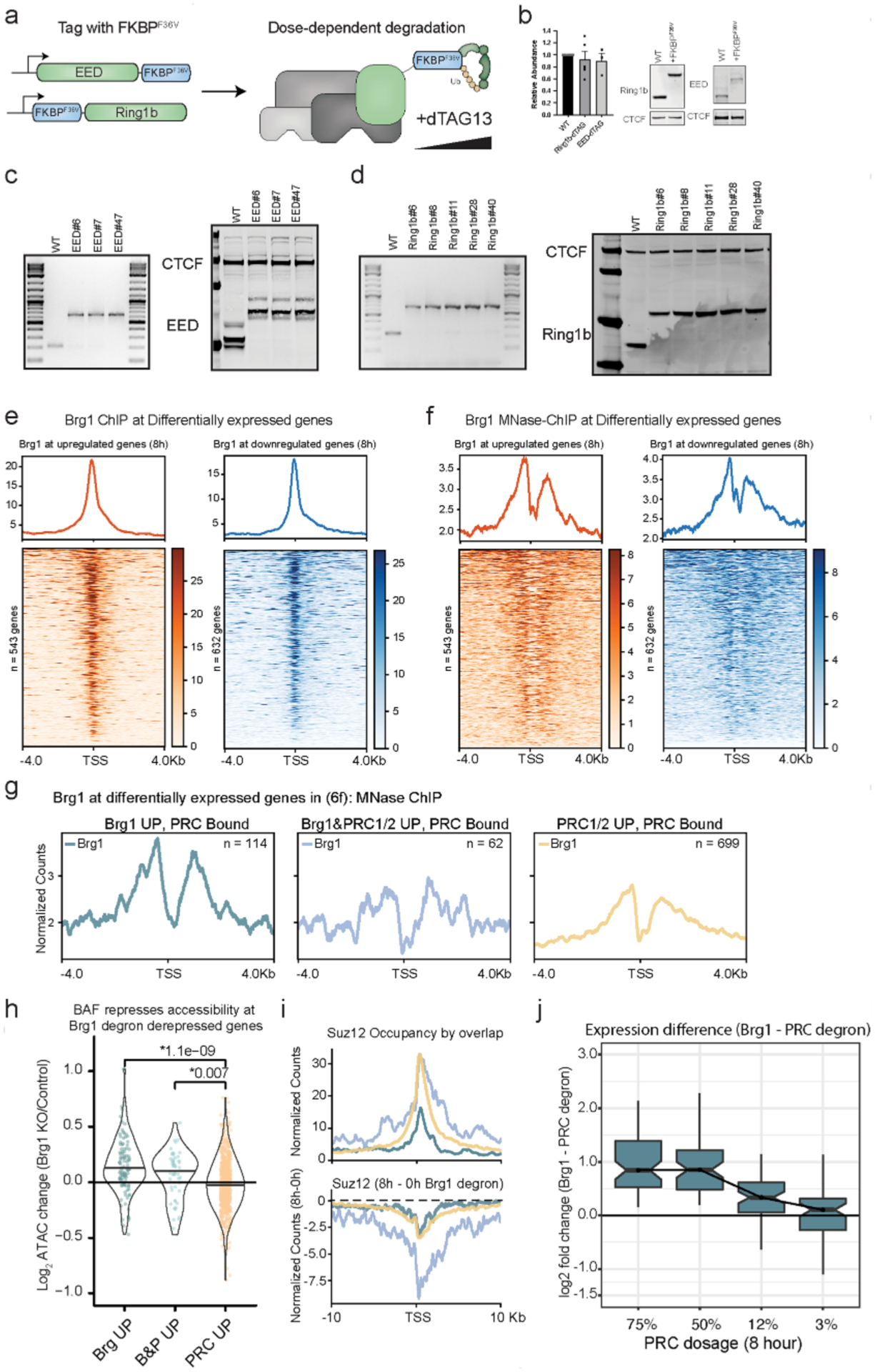 Extended Data Fig. 8 |