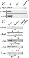 Fig. 3.