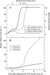 Fig. 9.
