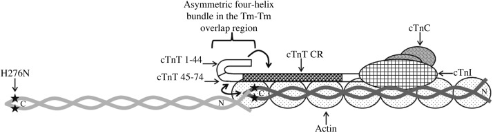 Figure 8.