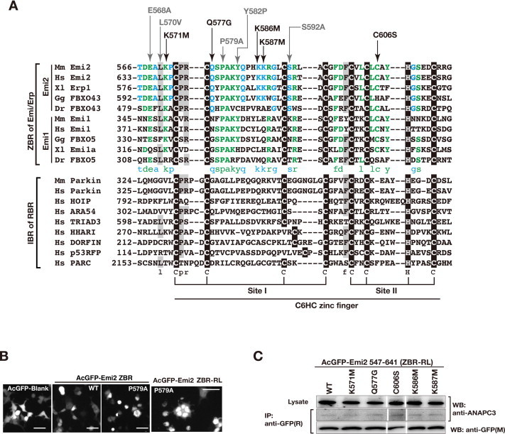 Supplementary Figure 3