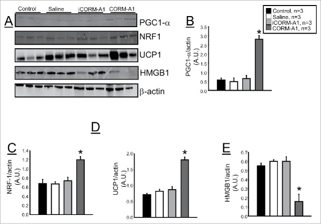 Figure 5.