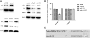 <b>FIG. 4.</b>