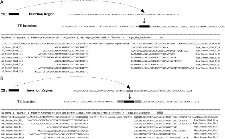 Figure 2.