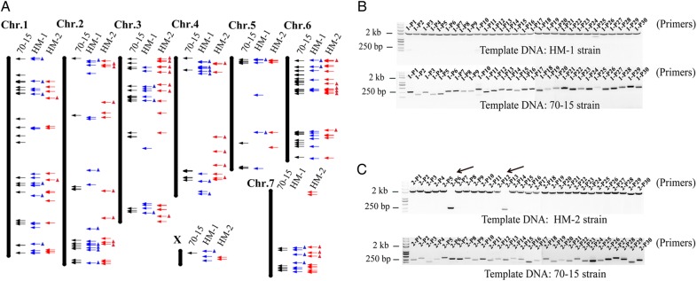 Figure 4.