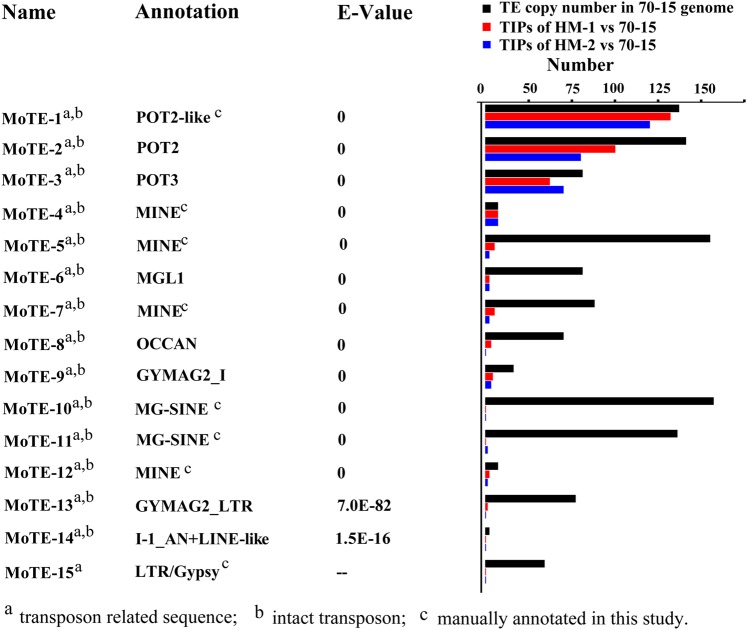 Figure 6.