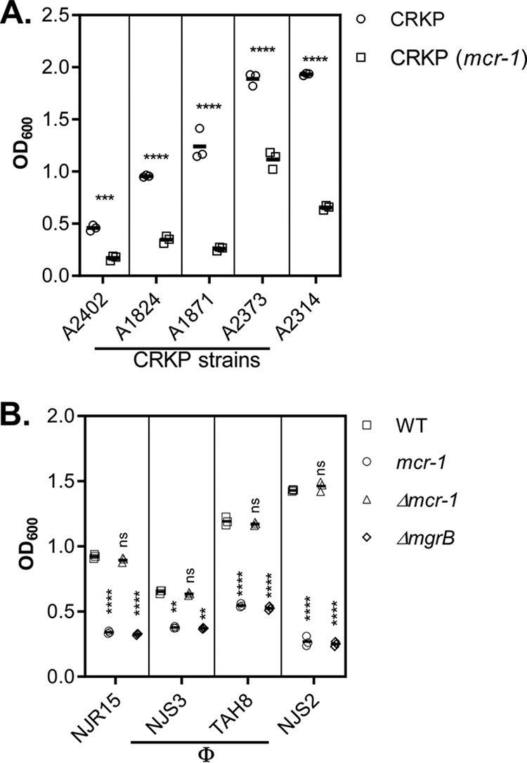 FIG 3