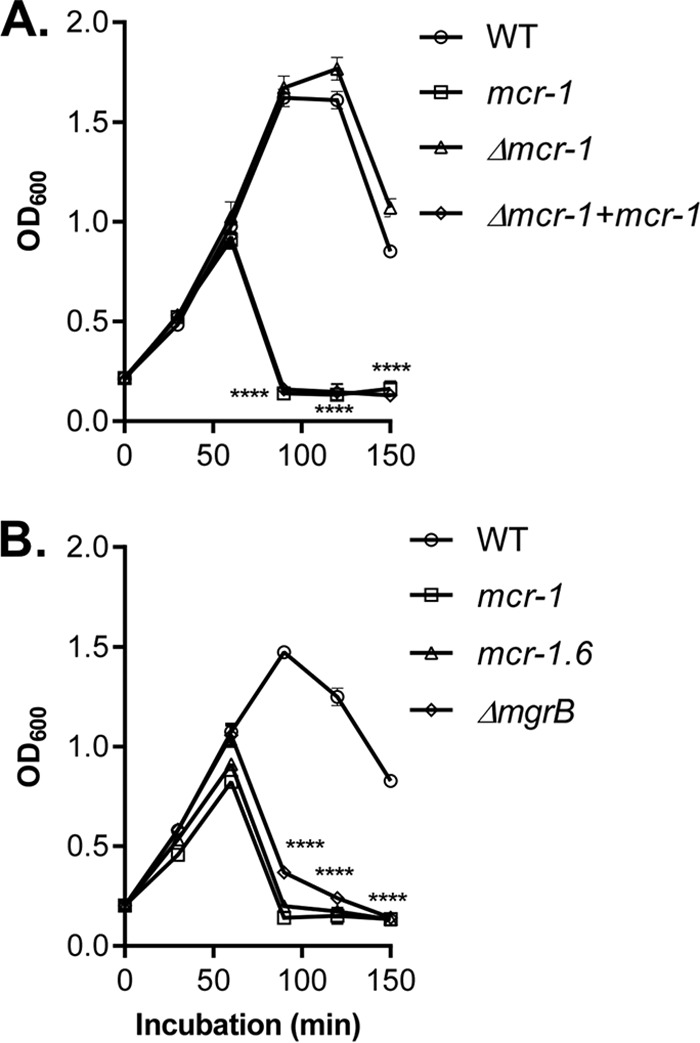 FIG 2