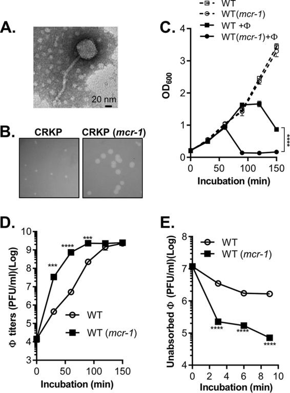 FIG 1