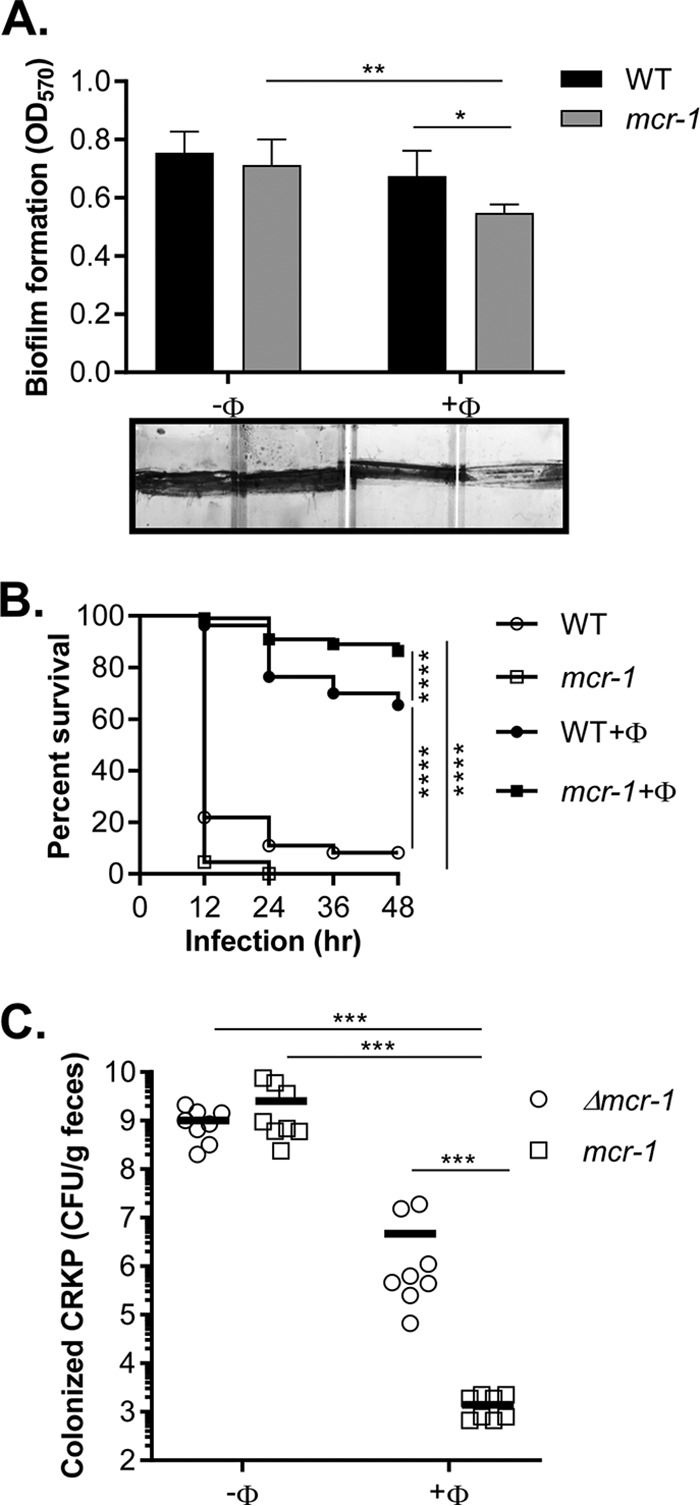 FIG 5