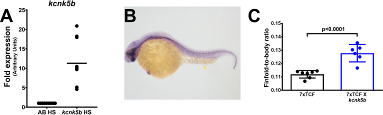 Figure 2—figure supplement 1.