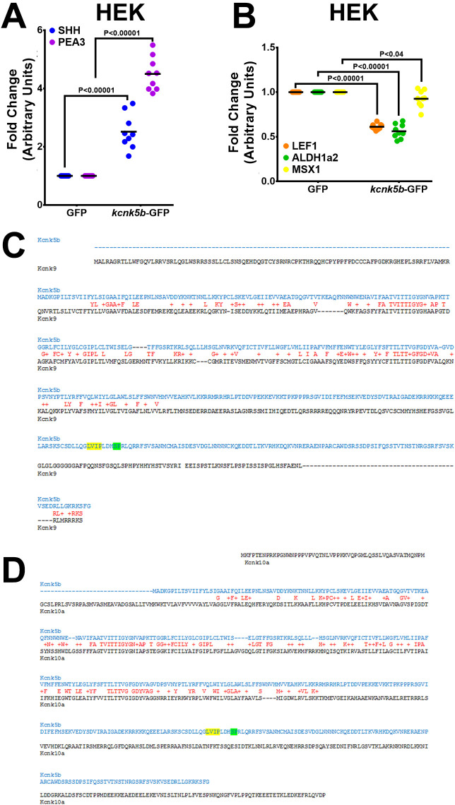 Figure 4—figure supplement 2.