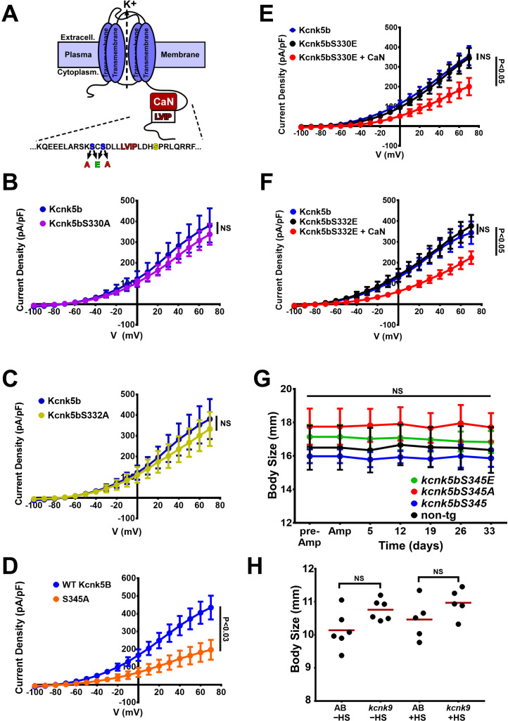 Figure 6—figure supplement 1.