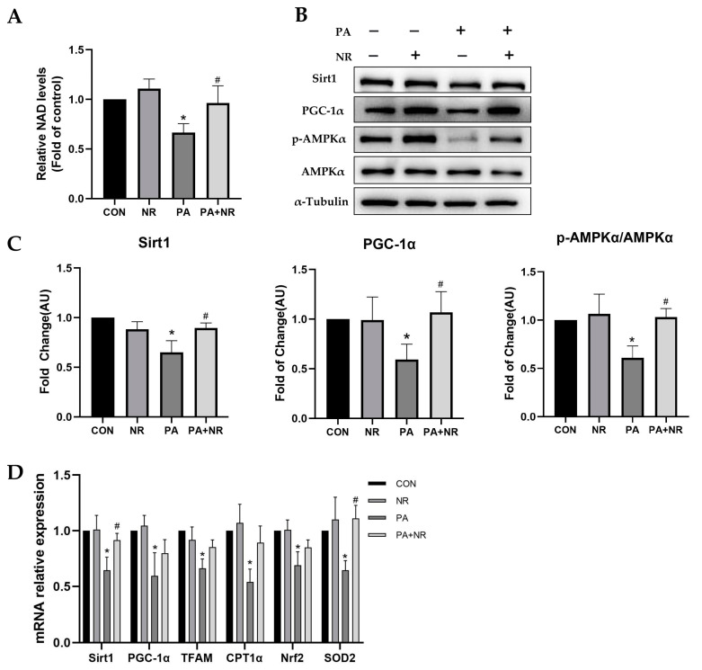 Figure 6