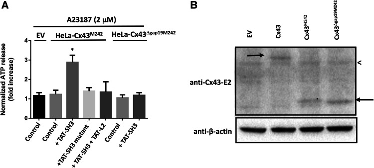 Fig. 7