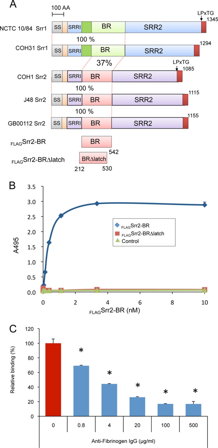 FIGURE 2.