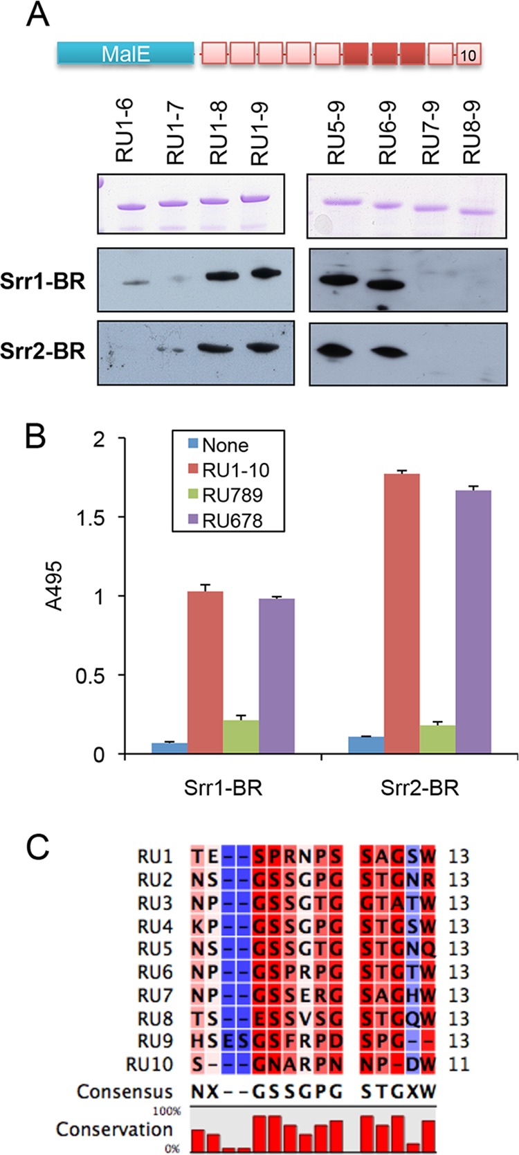 FIGURE 6.