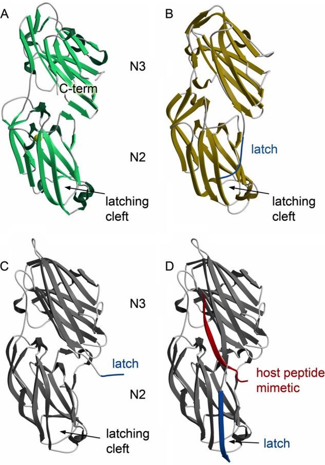 FIGURE 3.