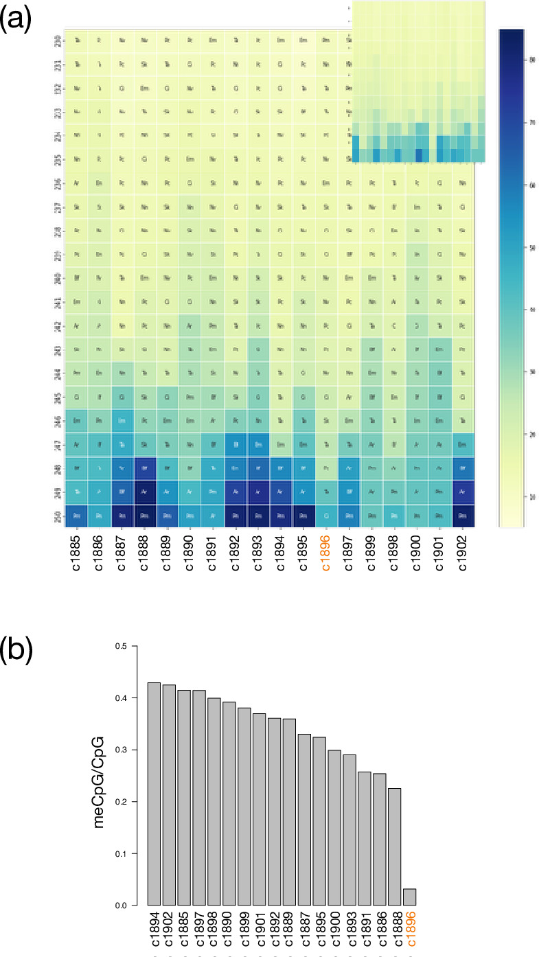 Figure 10—figure supplement 1.