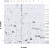 Figure 10—figure supplement 2.