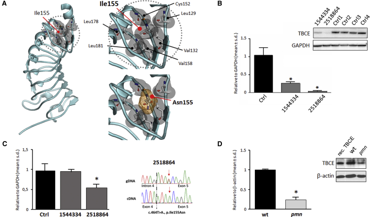 Figure 3