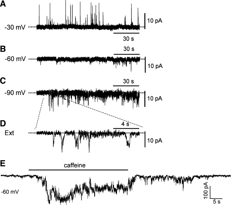 Fig. 4.