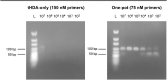 Fig. 16