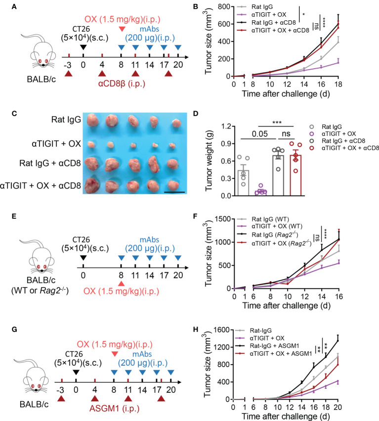 Figure 5