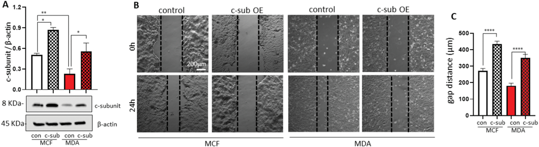 Fig. 4.