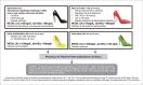 Figura 3.3