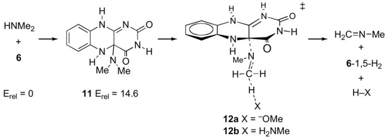 Scheme 5