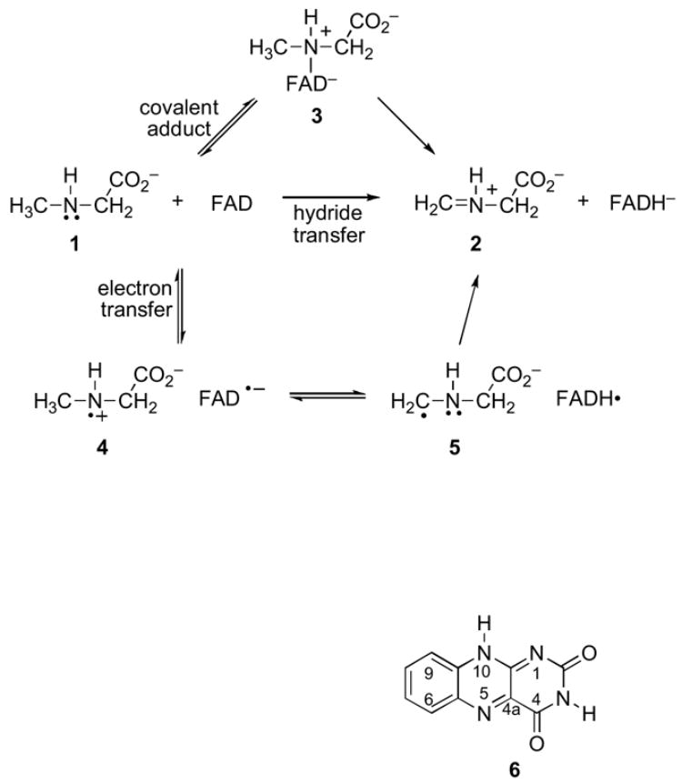 Scheme 2