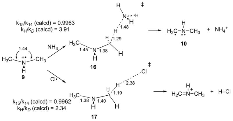 Scheme 7